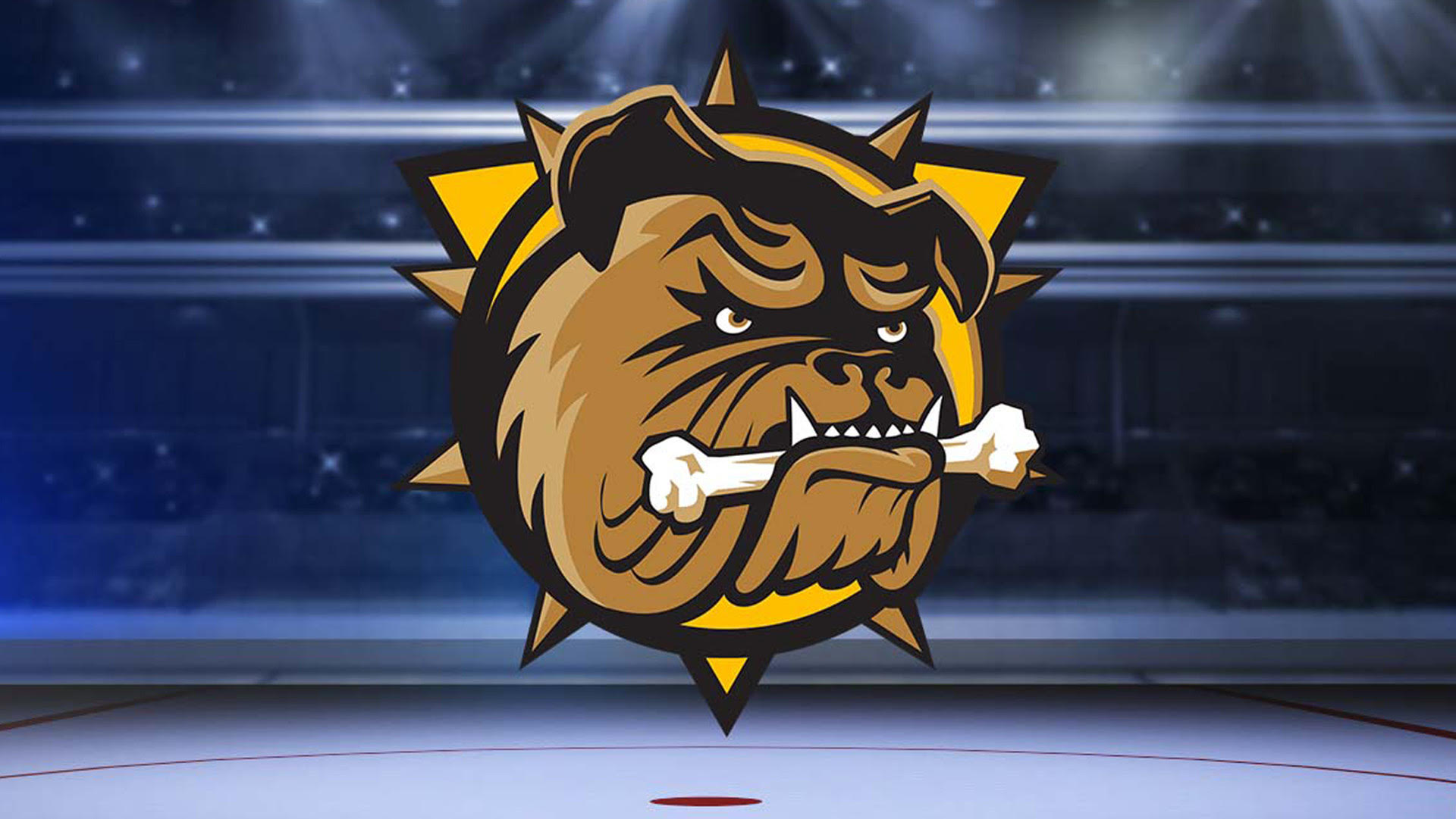 CABLE 14 Traditional Stream