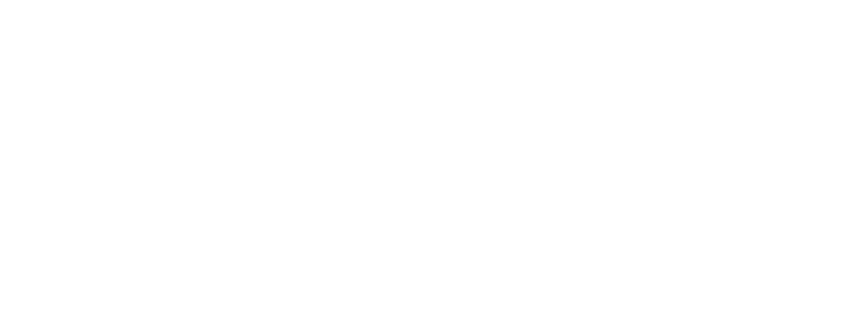 CABLE 14 Logo